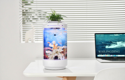Small decorative fish tank with smart adjustable lighting. Perfect as a decorative piece for your home or office desk.