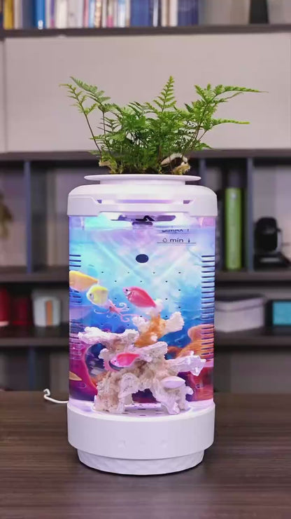 Small decorative fish tank with smart adjustable lighting. Perfect as a decorative piece for your home or office desk.